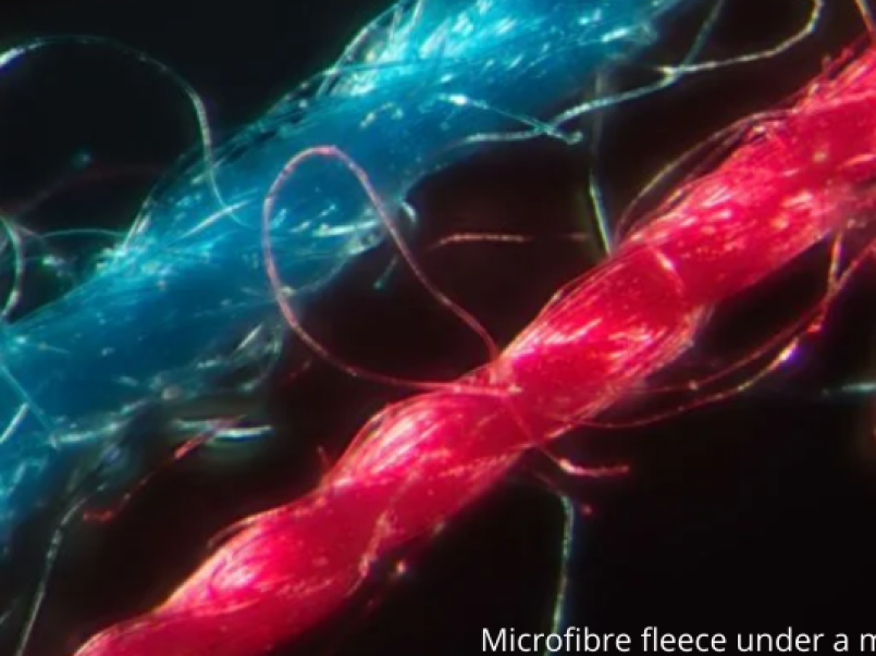 Microfibres under microscope