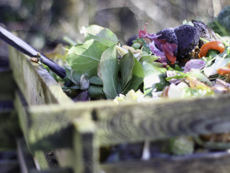 Food being composted