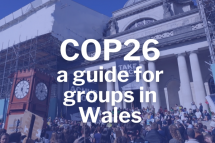 Picture of protest at City Hall in Cardiff with the writing COP26 a guide for groups