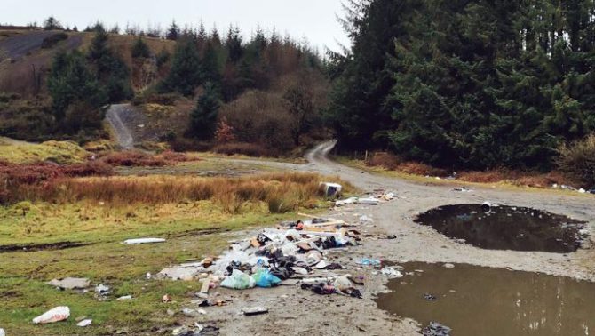 litter-of-the-law-solving-wales-s-waste-problem-friends-of-the