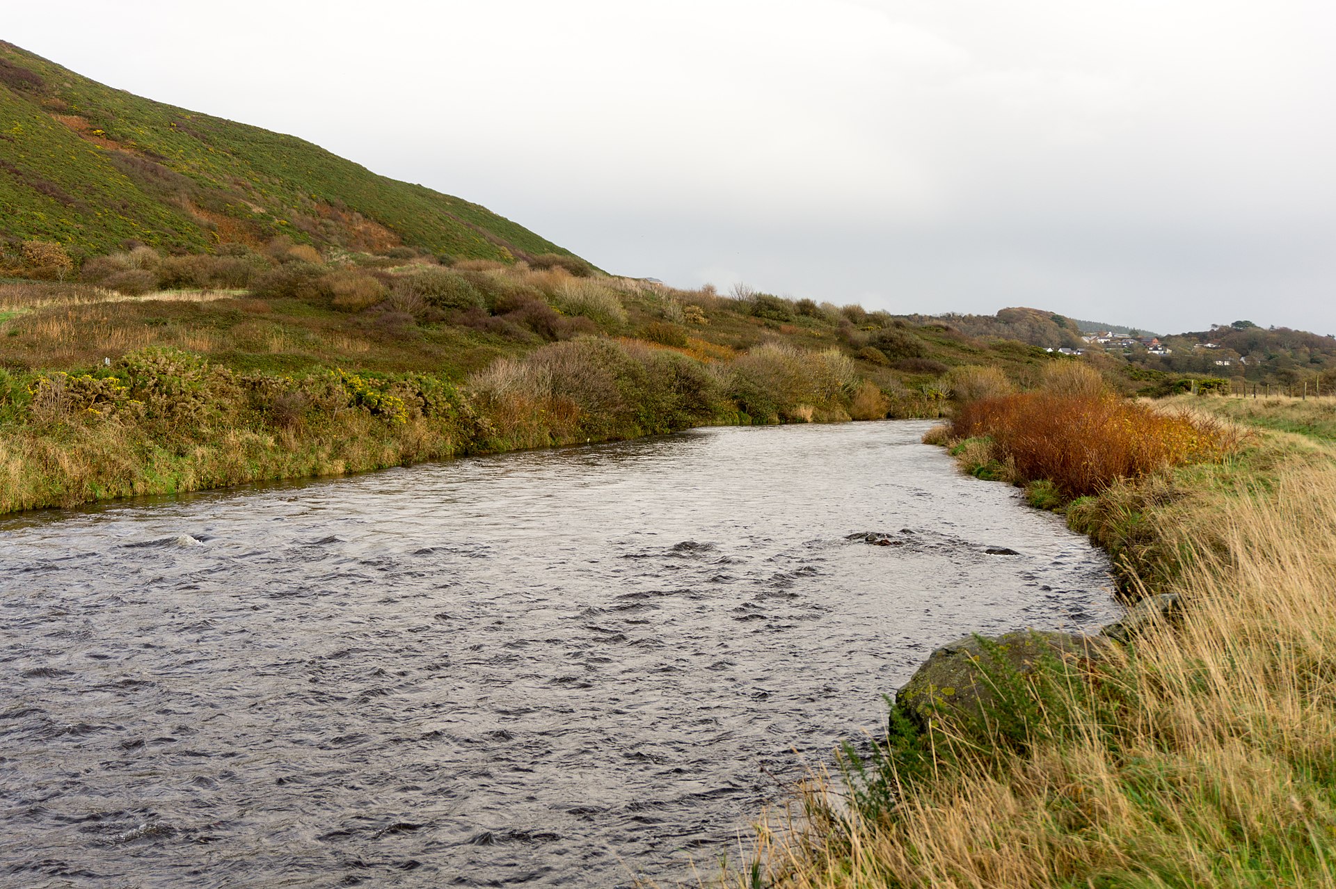 River Ystwyth near Trawsgoed (CC0 Spacequack - Own work)