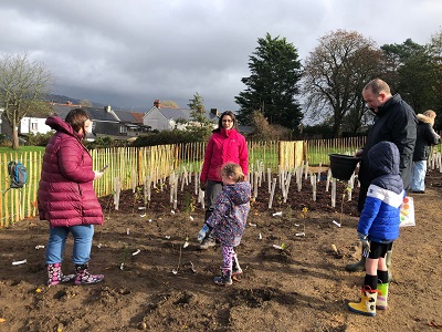 People planting trees