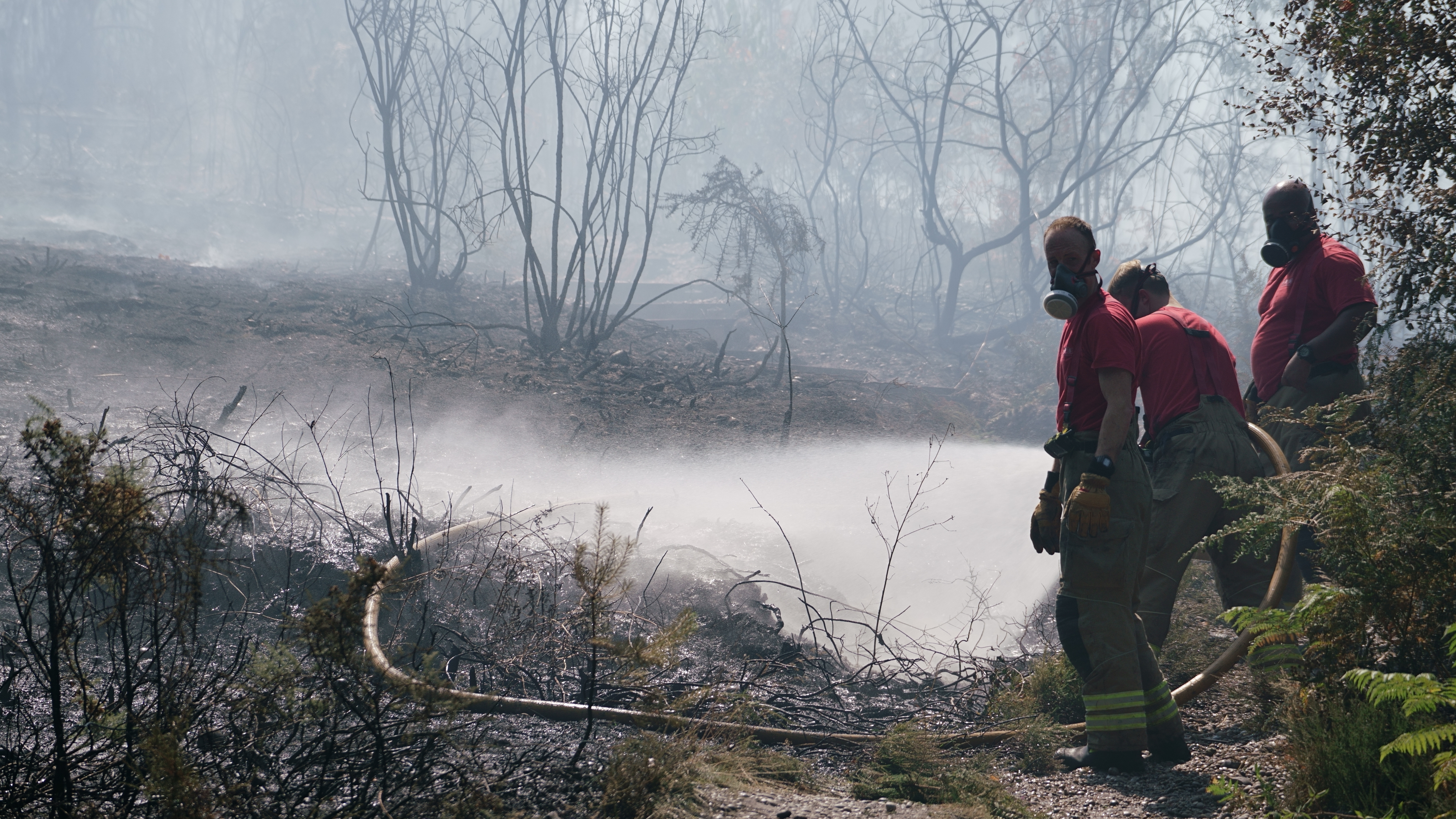 On the hottest day on record in the UK, eight fire engines and crews had to brave 100+ degree temperatures whilst tackling a major fire on Shirley Hills (Addington Hills) Peter Trimming / England's Hottest Day / CC BY-SA 2.0