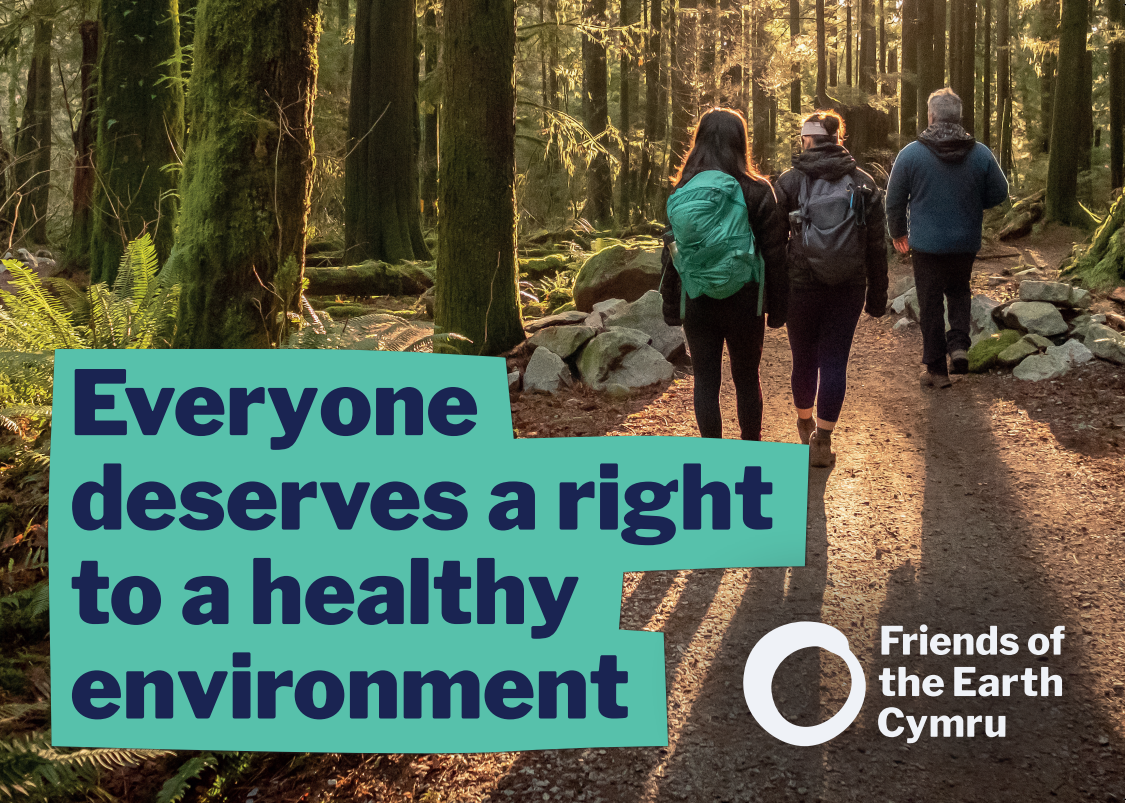 Picture of people walking through a wood with the words Everyone deserves the right to a healthy environment