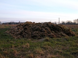 Pile of manure on a field