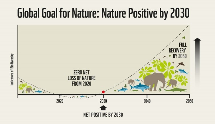 Graph showing the global goal to be nature positive by 2030