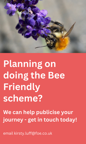Graphic about saying to email kirsty.luff@foe.co.uk if you are doing the bee friendly scheme and you want help publicising it,