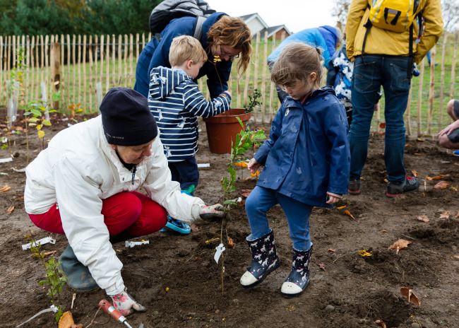 People planting Tiny Forest Caerffili