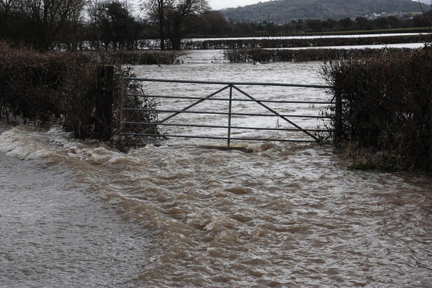 Flooding of River Severn near Gloucester FOE EWNI/Quentin Given