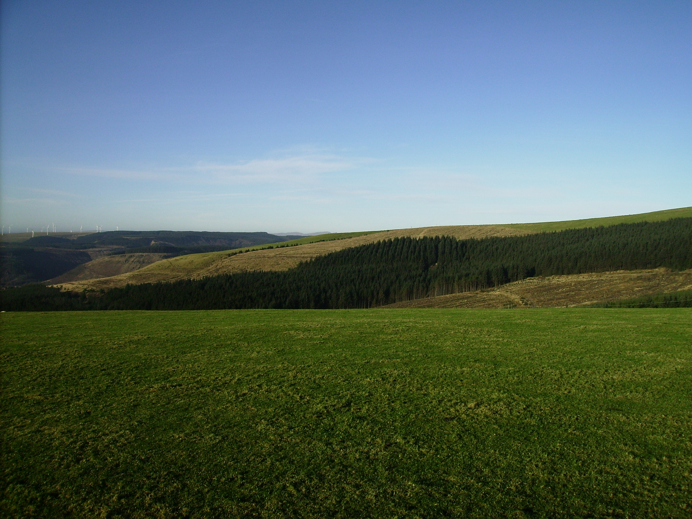 Source of River Llynfi