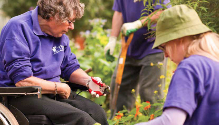 Picture of disabled person gardening