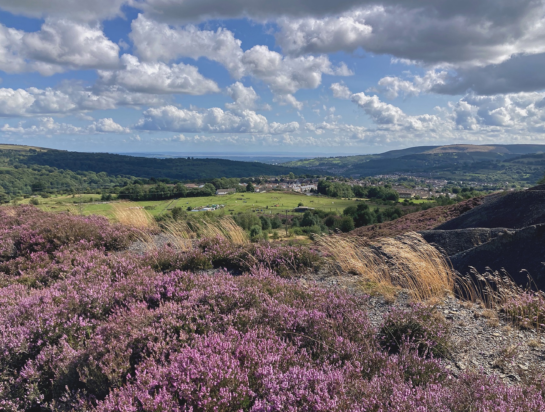 Carteg colliery site now by Tom Maloney