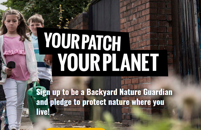 Backyard nature champion graphic from website
