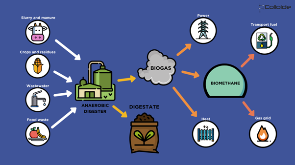 Anaerobic digestion (Colloide Engineering Systems, 2022)