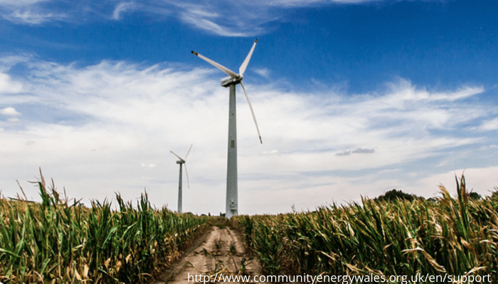 Wind turbine in a field