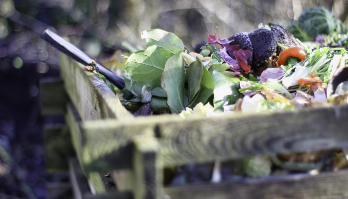 Picture of compost