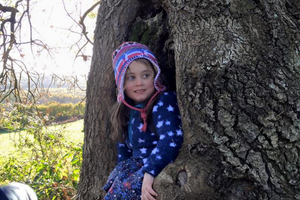 Child inside a tree