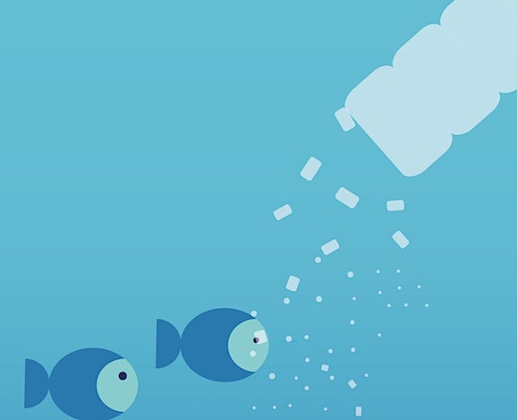 Graphic of a plastic bottle raining down tiny pieces of plastic on to two fish