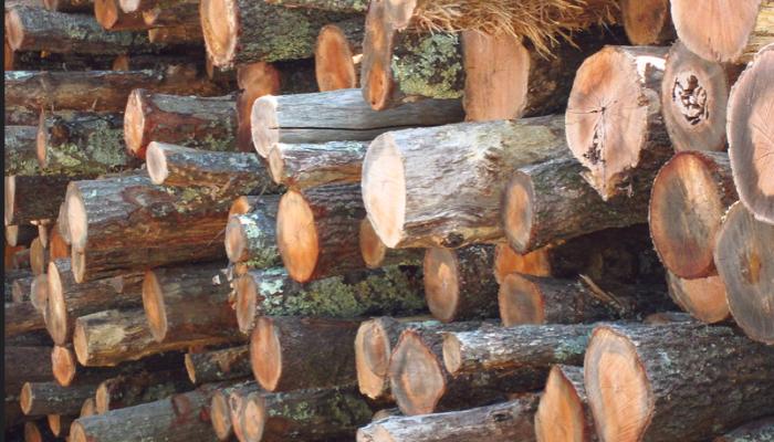 Picture of logs