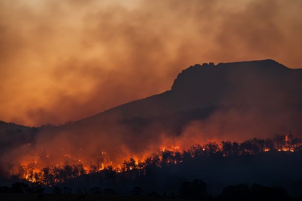 Forest fires in Australia (Photo by Matt Palmer on Unsplash)