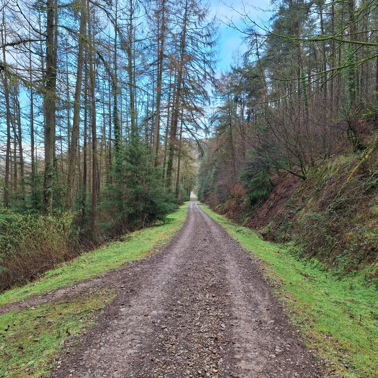 The 'Mile Climb', Sirhowy Valley Country Park - a section of the forestry road proposed for the haul route