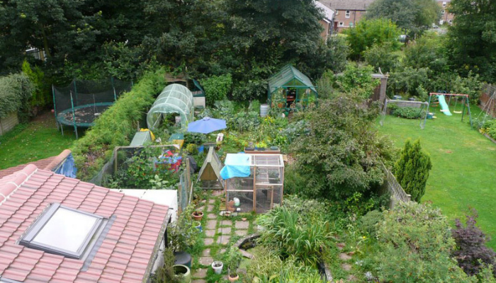 Suburban permaculture garden in Sheffield, UK, with different layers of vegetation