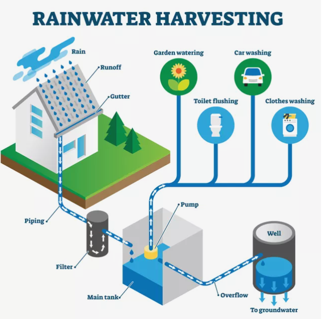 Rainwater harvesting picture