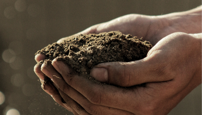 Soil in someone's hand