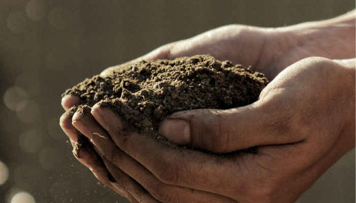 Soil