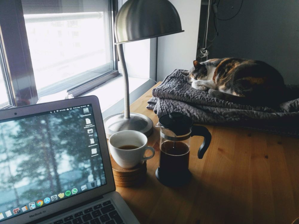 Cosy image of a desk with a laptop and cat on a blanket