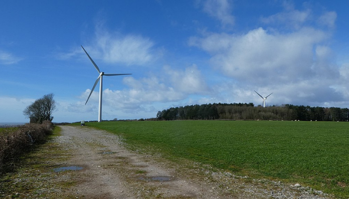 Wind turbines in a field