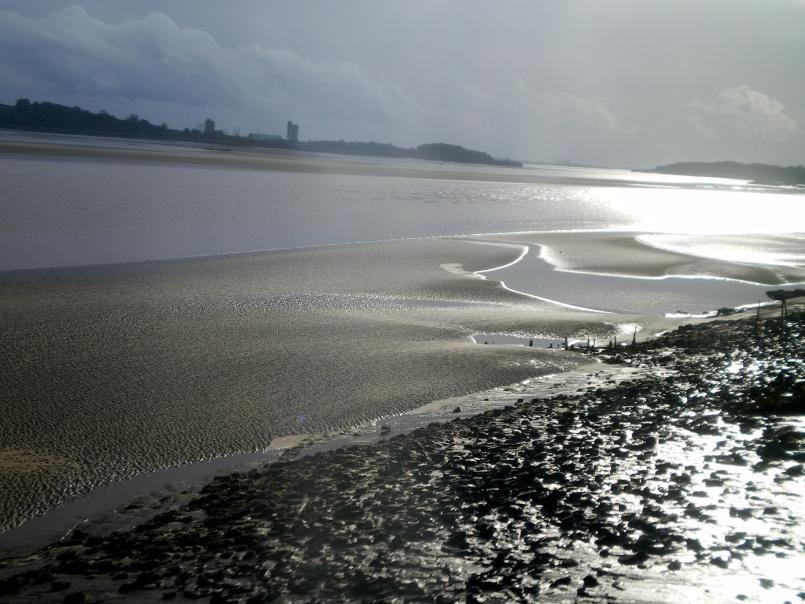 Severn Estuary