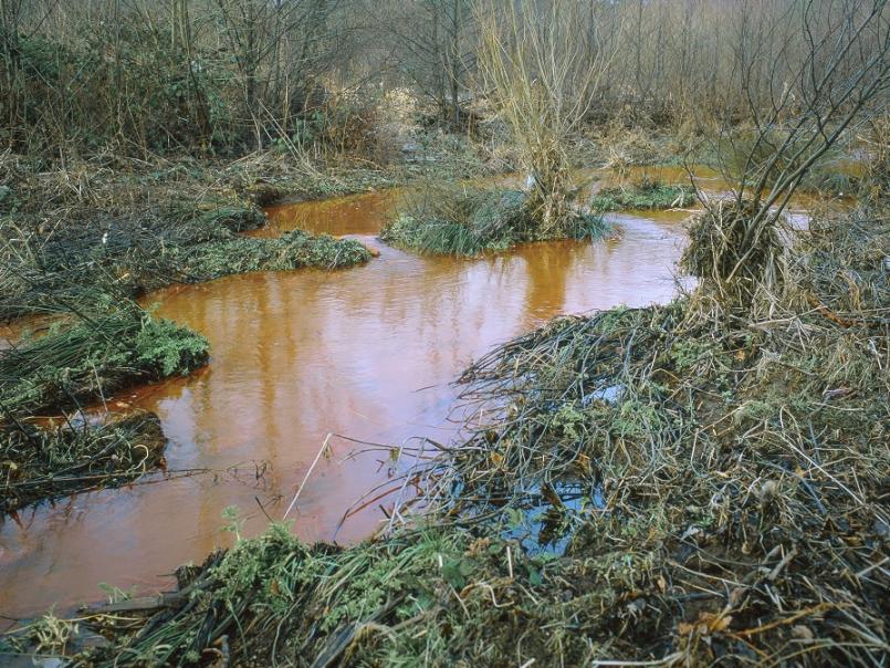 Picture of contaminated land