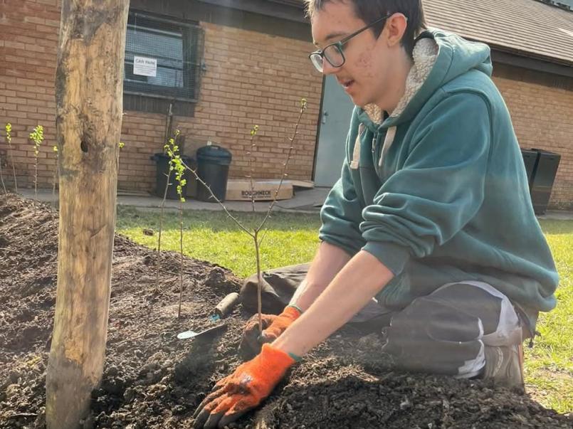 Jamie Thomas, postcode gardener