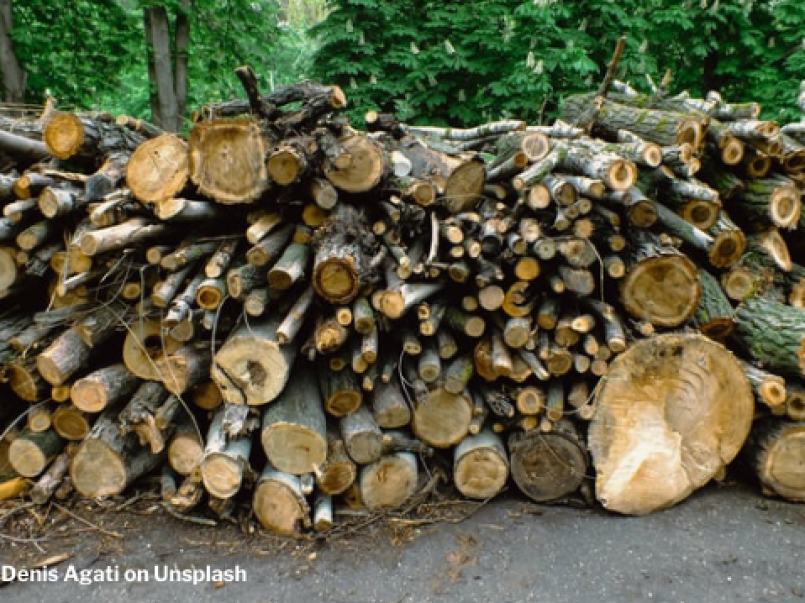 Picture of logs