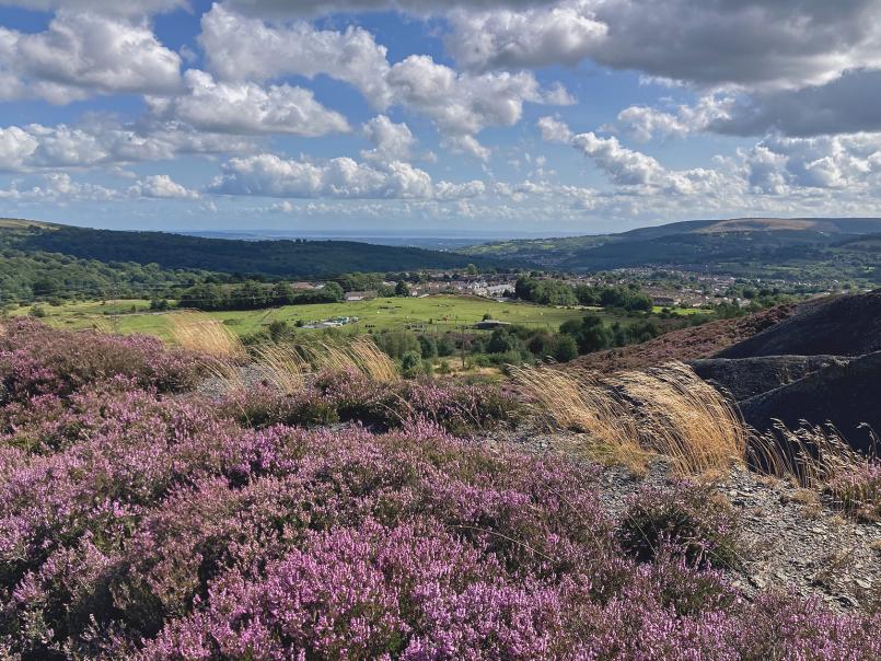 Carteg colliery site now by Tom Maloney