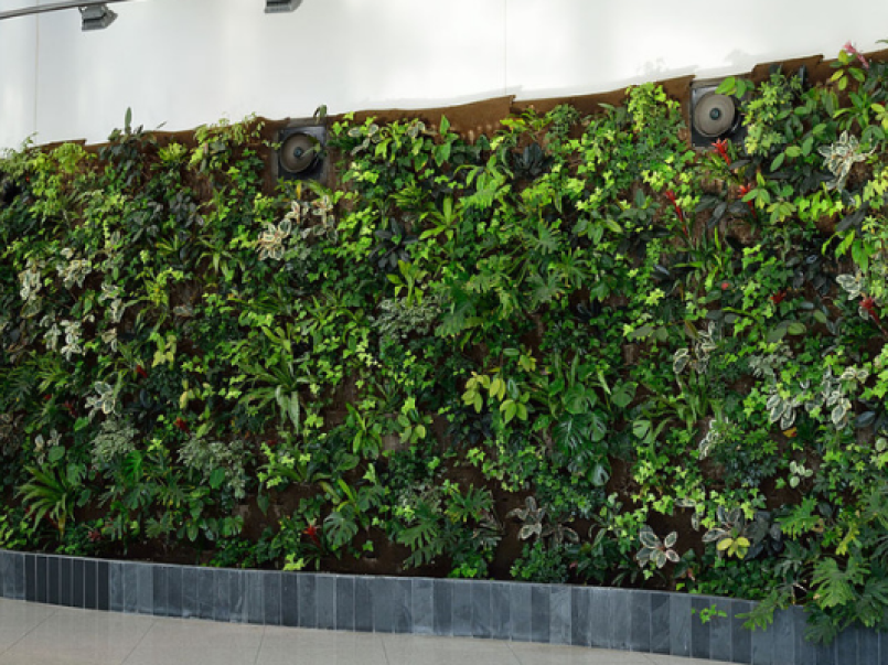 Direct Energy Centre "Living Wall" - installed for G20 (CC 0)