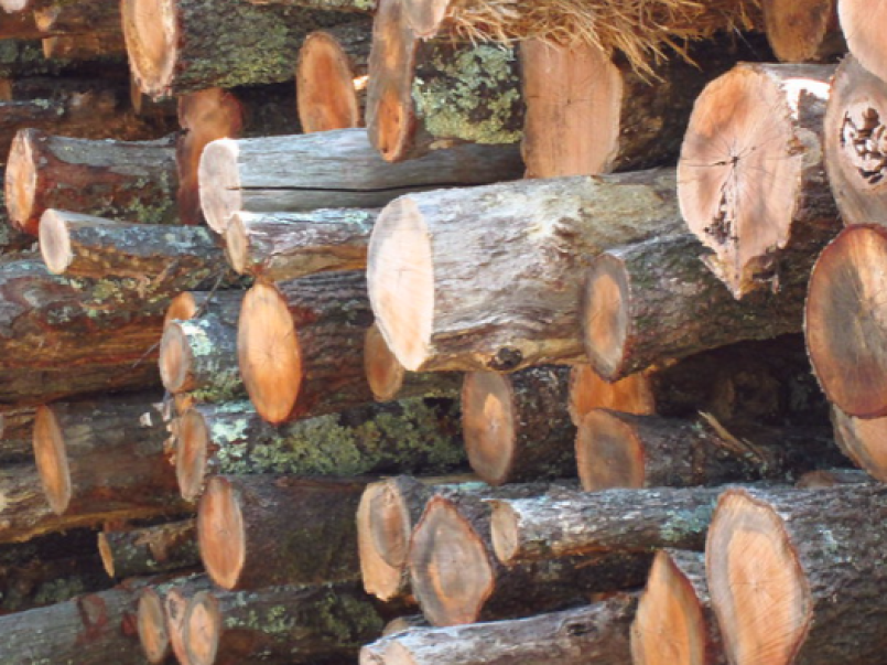 Picture of logs