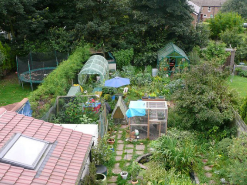 Permaculture in someone's back garden.