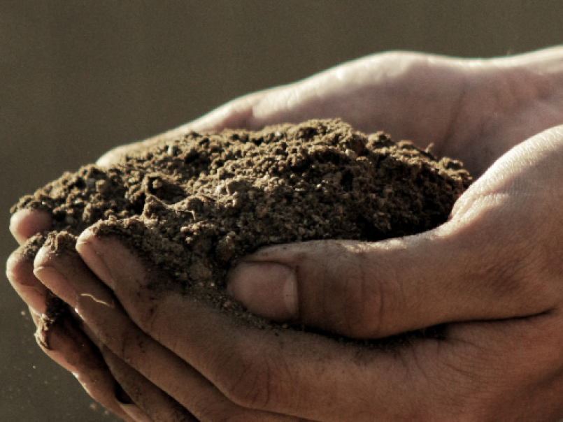 Soil in hand