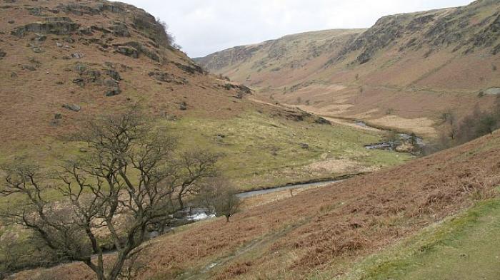 Peatland in Wales