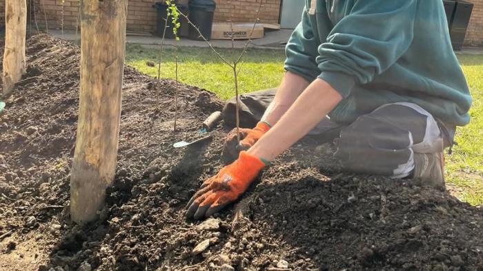 Jamie Thomas, postcode gardener